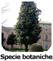 Lainate Villa Litta specie botaniche